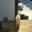 장수펜션민박 이미지