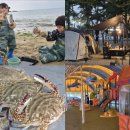 송림캠핑장 | 아이와 함께한 어은돌 송림캠핑장 C2사이트 리얼후기 | 해루질 체험부터 키즈캠핑장 장,단점까지