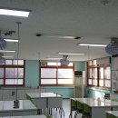 전주신성초등학교 Daum카페