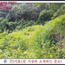 보광보건진료소 이미지