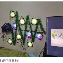 트리컴