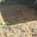 주식회사 종근 이미지