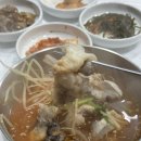 감포일출복어 이미지