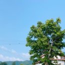 팔현펜션 이미지