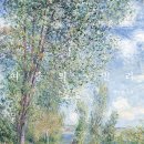 여름빌라 이미지