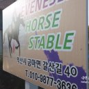에벤에셀승마장