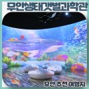 이야기가 있는 생태 탐방로 | 알차게 하루를 보낼 수 있는 아이와 함께하는 무료 갯벌 탐험 무안생태갯벌과학관