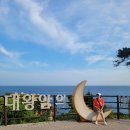 대왕암공원 | 🌉〰️🌉 울산 대왕암공원 출렁다리 후기🔥