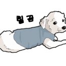 강아지 친구 이미지