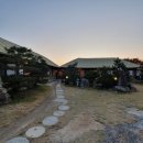 경주애견펜션 해피데이해피독 | 경주 애견동반여행지 애견동반 여행지 10곳 비교 - 강아지와의 완벽한