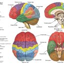 행복해서울어본적있나요 이미지