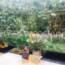 나무플레이트카페 이미지