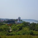 영일공인중개사사무소 이미지