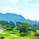 (주)금강레져 네이버블로그