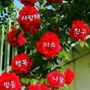 가유