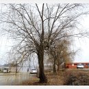 금강변길 이미지