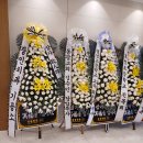 장인치과기공소 이미지