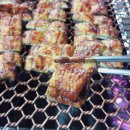 갑을장어 이미지