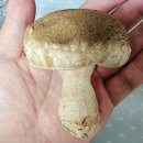 농업회사법인 (주)우리들 이미지