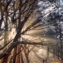 펜화 스케치 이미지