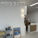에센슈얼 발산역점