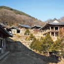 수덕사 진입로 네이버블로그