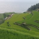 남해-243 이미지