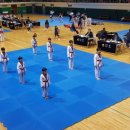 용인대 SK 태권도 이미지