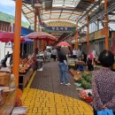 청도환경관리센터 | 청도 시장 오일장 장날 날짜 경북 5일장 유기견 입양센터