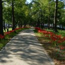 하이마트 건너편 이미지