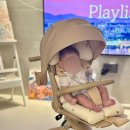 골드카 | 내돈내산 씨투엠뉴 에이블코지프리미엄 트라이크 샴페인골드 휴대용유모차 유모카 솔직후기