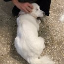 홍대네컷 이미지
