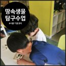 오해피데이지 이미지