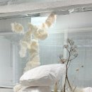 소금꽃정원 이미지