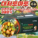 토마토 이미지
