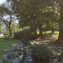 구갈레스피아 게이트볼장 이미지