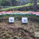 천지조명 - 시흥시 공단1대로 204 | 천지조명