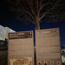 중앙동177 | 통영 통제영 야경 후기｜통영 중앙동 서피랑 산책코스 및 주차 총정리