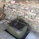 유왕골약수 이미지