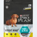 펫마인드 이미지