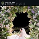 이나스헤어 | 디어이나스냅 스타시티아트홀 아이폰스냅 계약 후기 내돈내산 추천