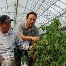 간척1리 이미지