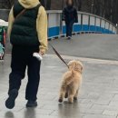 매헌 | 축산물위생교육 수료 후기(매헌윤봉길의사기념관)