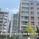 한국 50억 아파트에 사는 사람들의 삶 ㄷㄷ 이미지