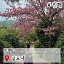 태백동 스포츠파크 | 부산근교 주말 봄 나들이 창원 진해 성도사 겹벚꽃 이색데이트