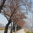 낙동강변로-3 이미지