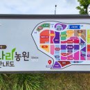 [2023년 양주나리공원 현장정보&유료 개장기간 소식]