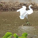 주봉서원 이미지