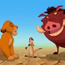 하쿠나마타타 이미지