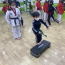 해빛태권도장 이미지